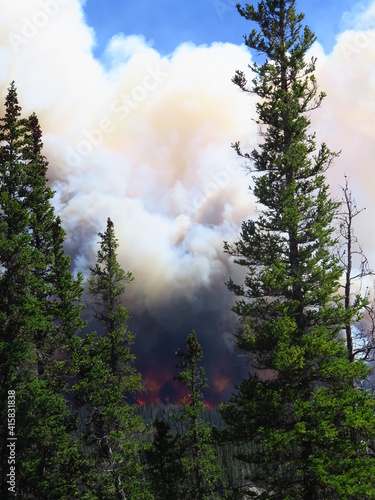 a cloud of smoke, Spreading Creek Wildfire 07-04-2014 close to the Saskatchewan River Crossing, Banff National Park, Icefields Parkway, Rocky Mountains, Alberta, Canada, July