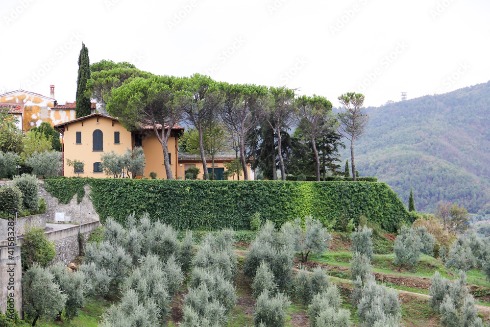 Tuscan hills with villa, olive threes in the garden. Old villa in the foreground in the village of Carmignano near Florence, Italy. In the background there is hill in fog, a cloudy sky.