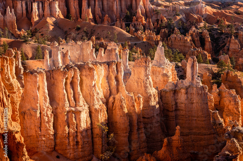 A collection of sandstone hoodoos at Bryce Canyon National Park, Utah