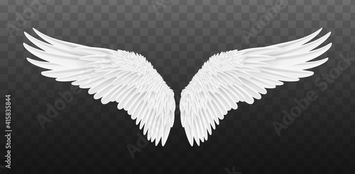 Pair of beautiful white angel wings isolated. Vector concept white cute feathered wing animal on a transparent background photo
