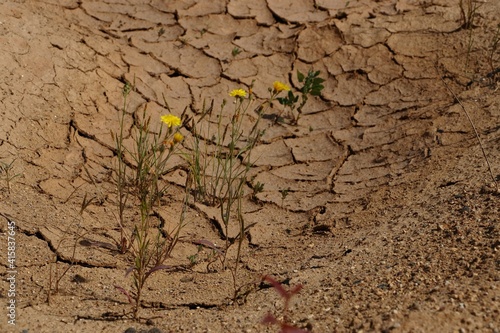 Cracked sand quarry in Sychevo, Moscow region photo