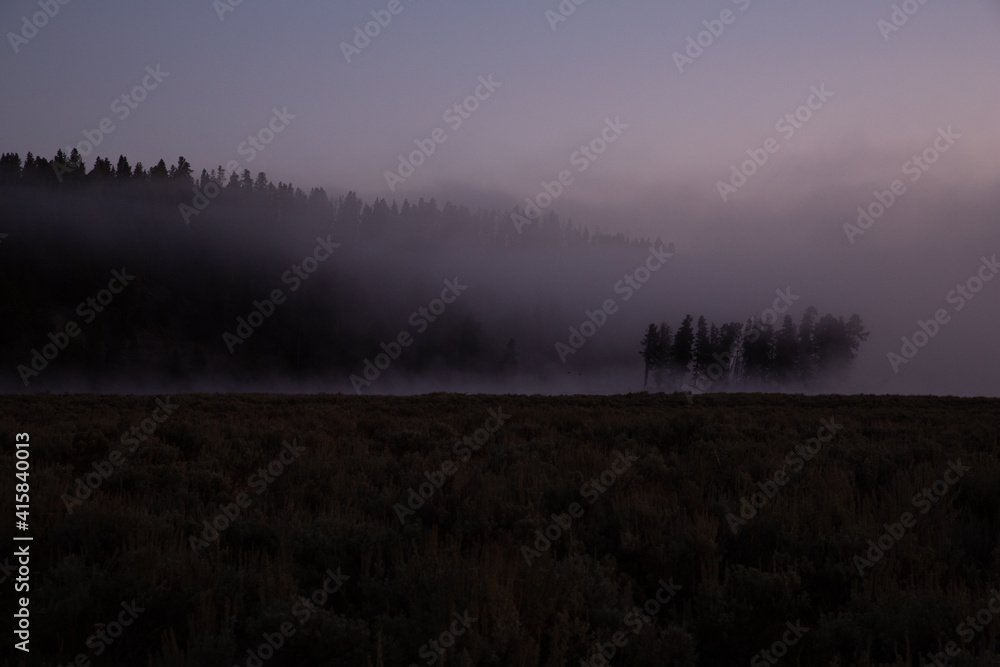 Fototapeta premium misty morning in the forest yellowstone national park