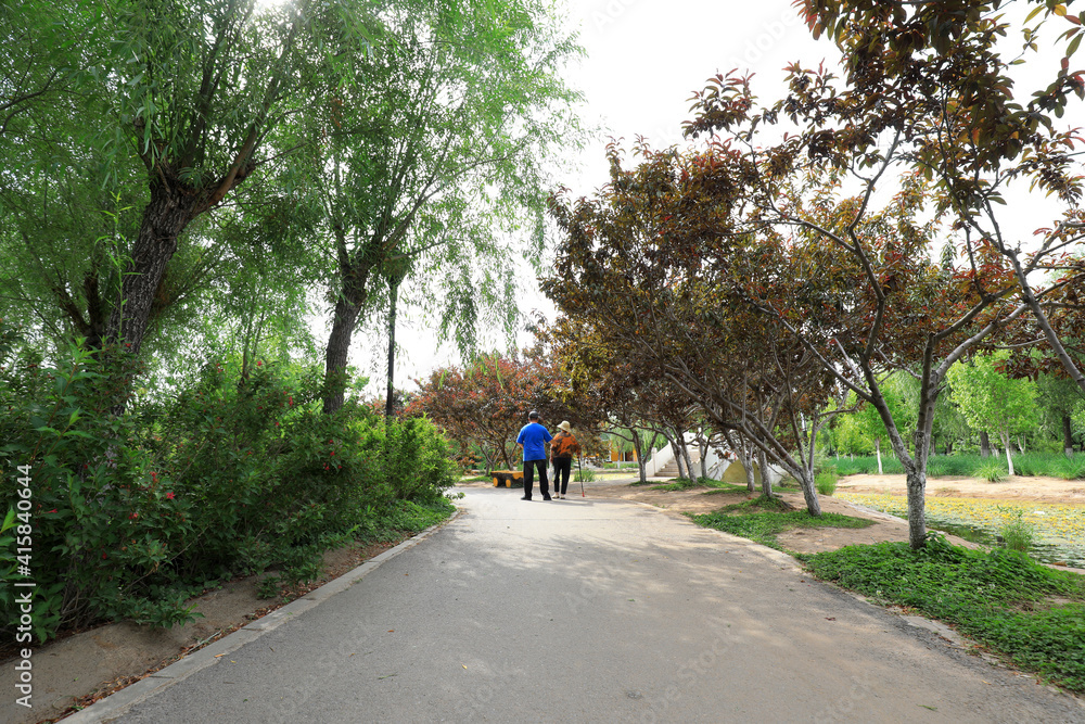 Two old people are walking in the park, North China Two old people are walking in the park, North China