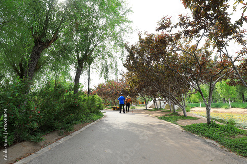 Fototapeta Naklejka Na Ścianę i Meble -  Two old people are walking in the park, North China