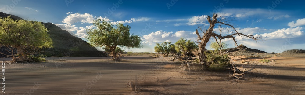 beautiful plain with green trees at sunny day beautiful plain with green trees at sunny day