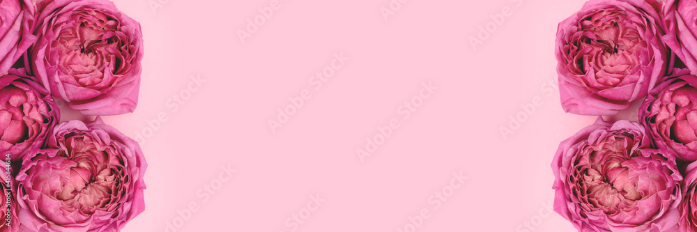Banner with frame made of rose flowers on a pink pastel background. Floral concept with copyspace. Springtime gentle composition.
