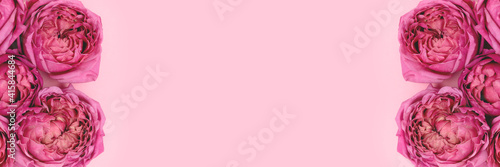 Banner with frame made of rose flowers on a pink pastel background. Floral concept with copyspace. Springtime gentle composition. © rorygezfresh