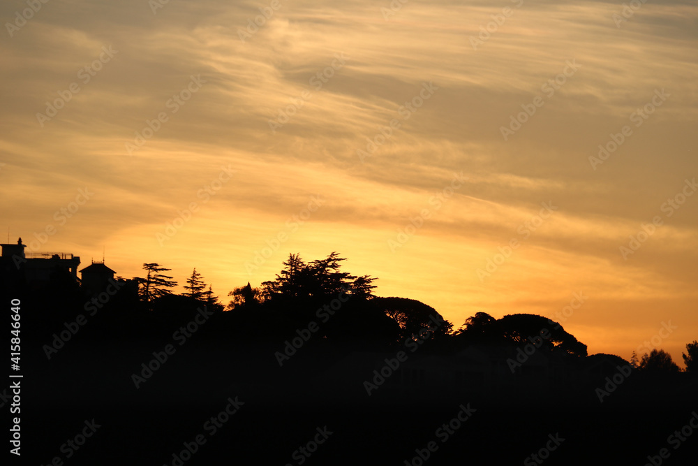silhouettes of trees against orange sky at down silhouettes of trees against orange sky at down