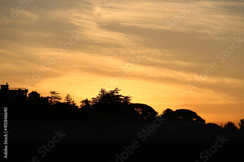 silhouettes of trees against orange sky at down