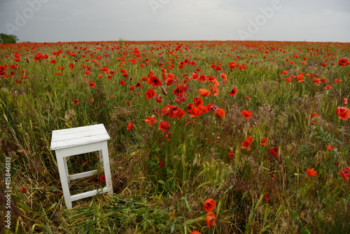 Old obsolete wooden stool stands at poppy meadow