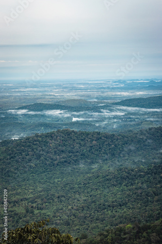 mountain coverd with white mists and dense forests