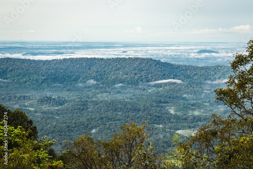 mountain coverd with white mists and dense forests