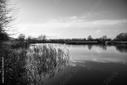 Lake scene with reflected plants and sky in monochrome