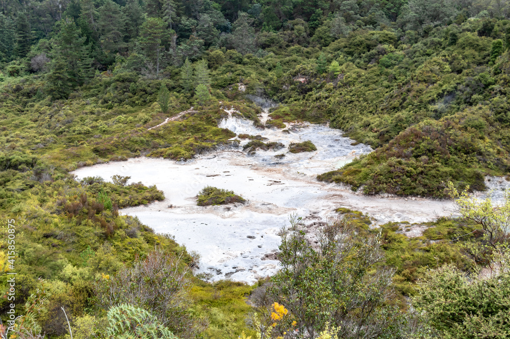 Source chaude de Whakarewarewa, Nouvelle Zélande Source chaude de Whakarewarewa, Nouvelle Zélande