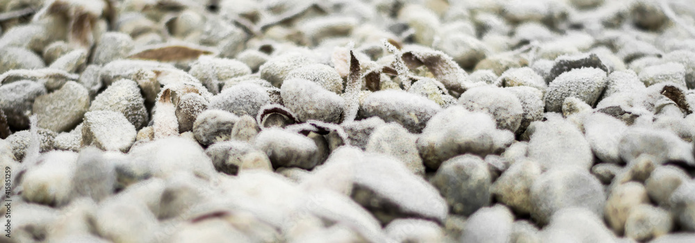 background of stones in frost the beginning of spring background of stones in frost the beginning of spring