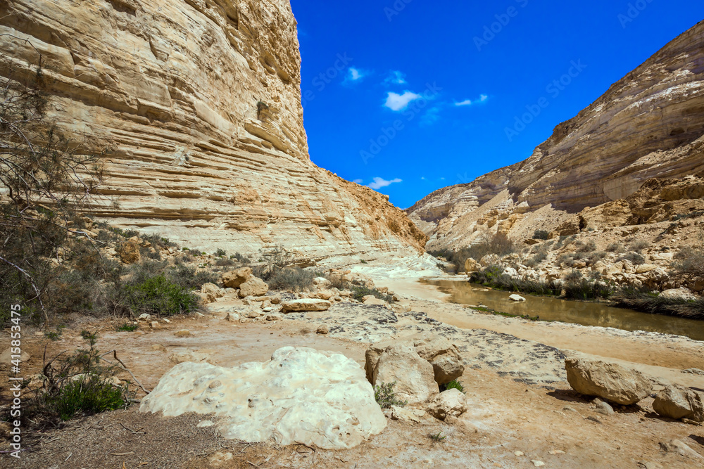 Fototapeta premium The canyon Ein Avdat