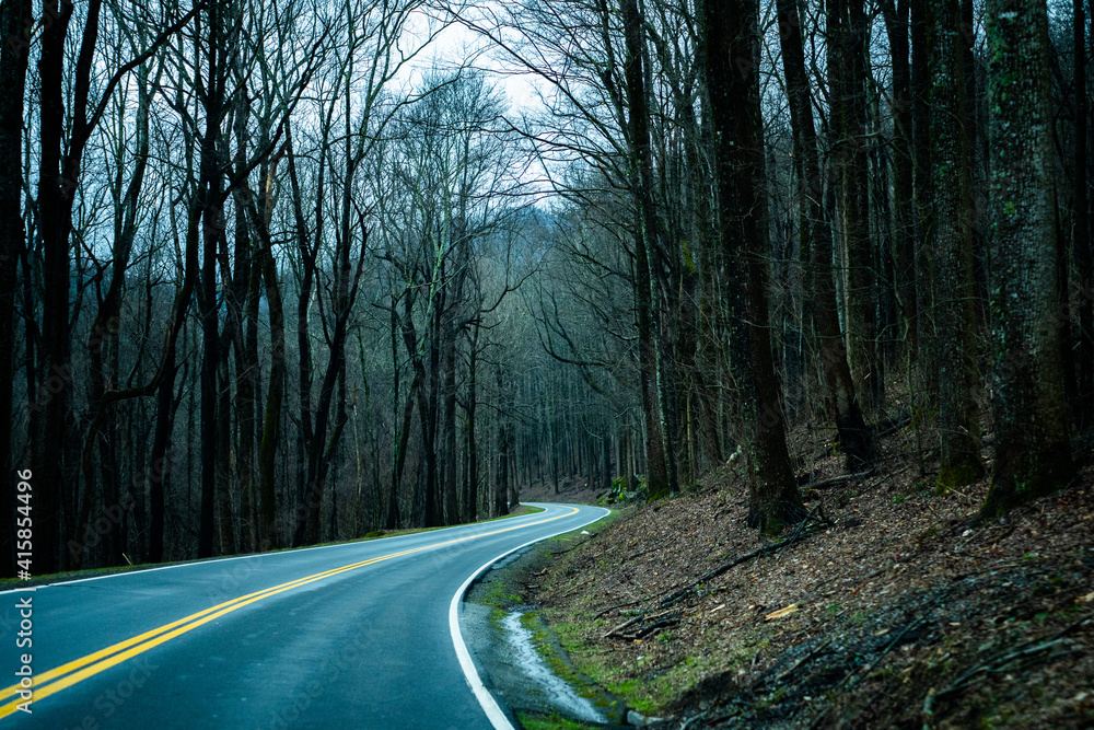 Obraz premium Curvy Road