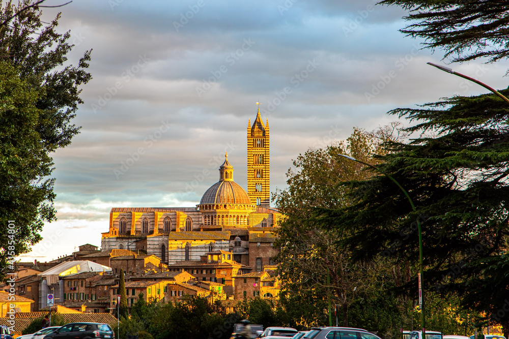 Fototapeta premium Siena Cathedral (Duomo)