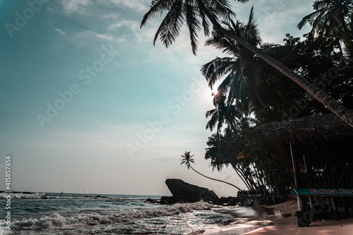 Duża skała na tle palm i oceanu, tropikalne wybrzeże. photo