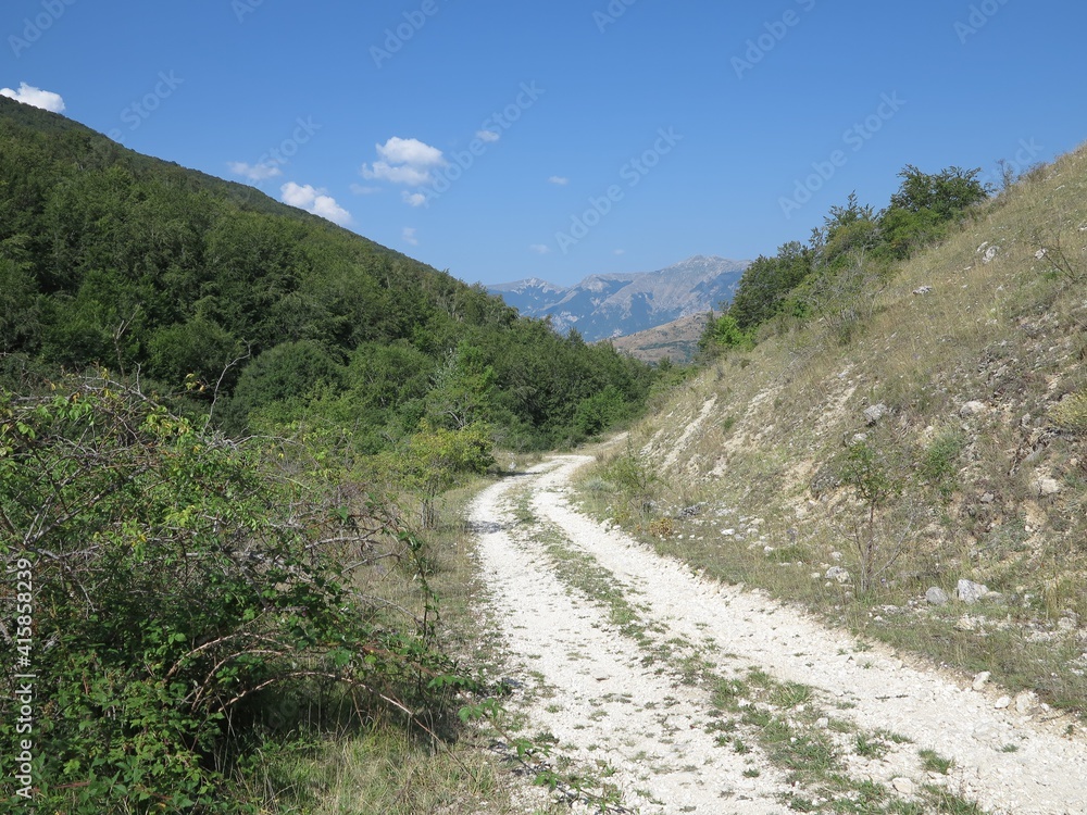 Fototapeta premium Mountain Path in Summer in Italy