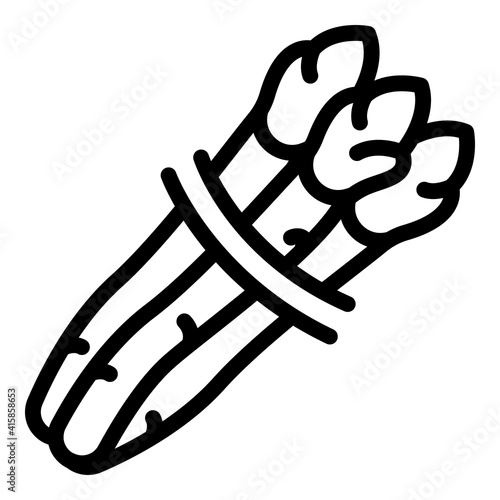 Asparagus icon. Outline asparagus vector icon for web design isolated on white background