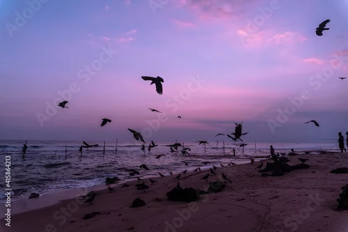 Obraz Stado ptaków na tle plaży i zachodu słońca nad oceanem.