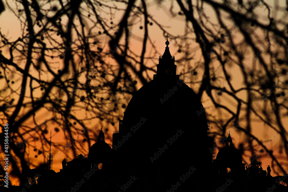 Backlight profile at sunset through the branches of a tree of St. Peter's Basilica in Rome