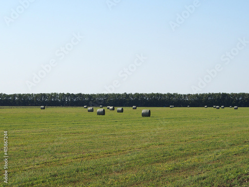 Summer landscape with mown hay packed in rolls. Rural landscape, beautiful place, concept of agrotourism.