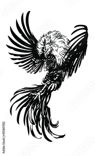 Rooster, black and white vector image. Cocks fighting. Rooster, cockfight, attack, fighter, black and white, game-cock