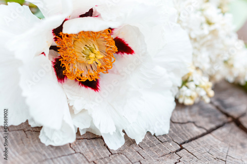 Paeonia suffruticosa white peony and white lilac bouquet of spring flowers. Natural background Blooming spring flowers outside on wood