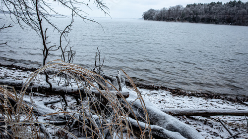 Frozen reeds or grass and driftwood overlooking snowy shore of lake with waves, snow and ice and trees in distance