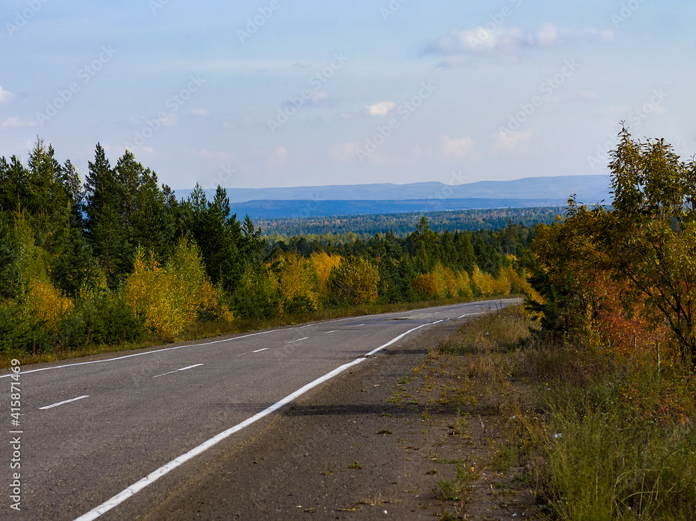 Fototapeta premium Road in forest