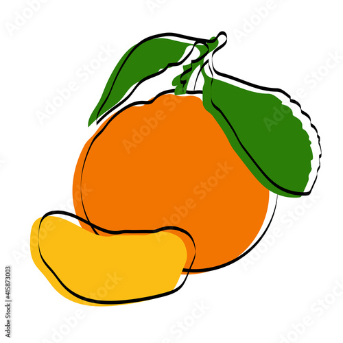 Silhouette of the fetus. Mandarin. Vector illustration.