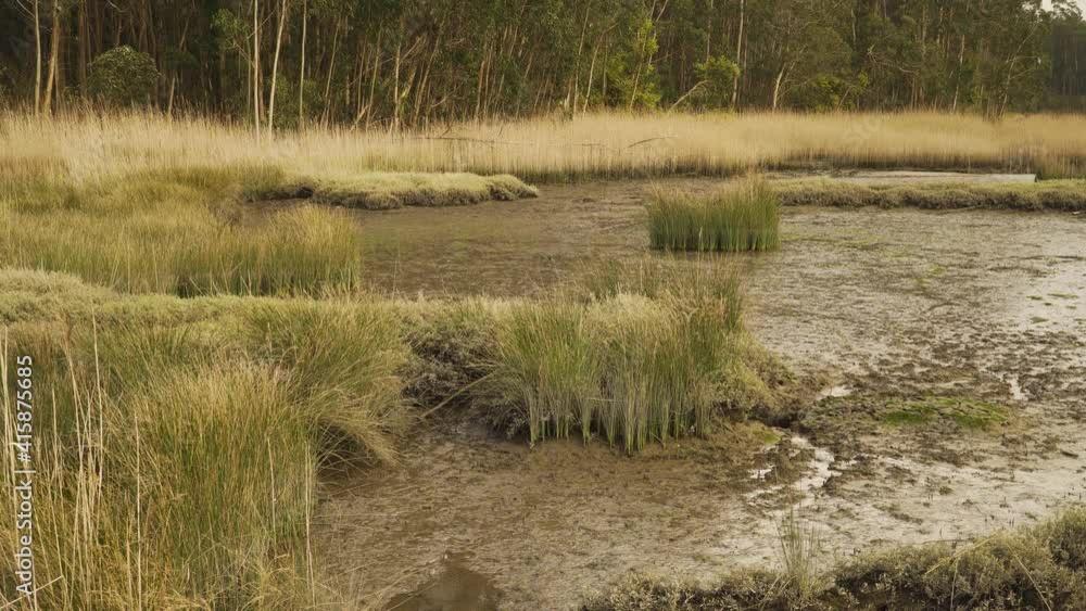 4K muddy river bed in a low tide with some water flowing down the river to the ocean. Ria de Aveiro in the estuary of the river Vouga. 4K muddy river bed in a low tide with some water flowing down the river to the ocean. Ria de Aveiro in the estuary of the river Vouga.
