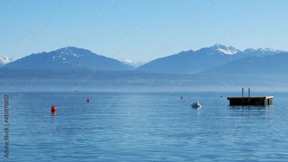 Un cygne sur le lac avec les Alpes en hiver Un cygne sur le lac avec les Alpes en hiver