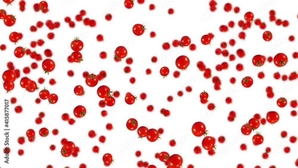Flying many fresh tomatoes on white background. Organic vegetables. Ripe juicy cherry tomatoes. 3D loop animation of tomato rotating. Flying many fresh tomatoes on white background. Organic vegetables. Ripe juicy cherry tomatoes. 3D loop animation of tomato rotating.