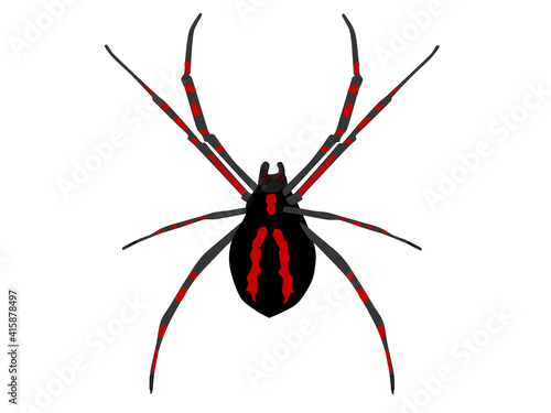 scary red spider on a white background