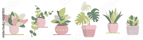 Indoor plants isolation illustration set Potted house plants