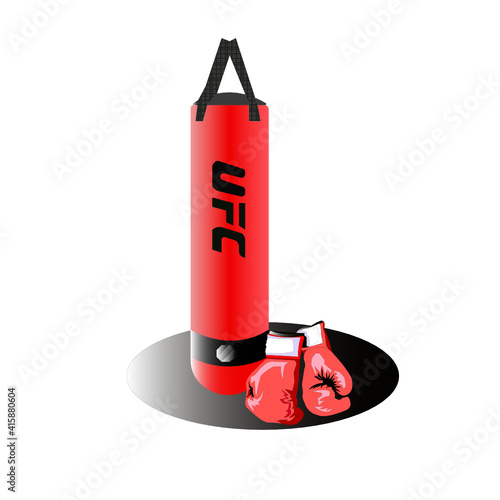 Punching bag with gloves