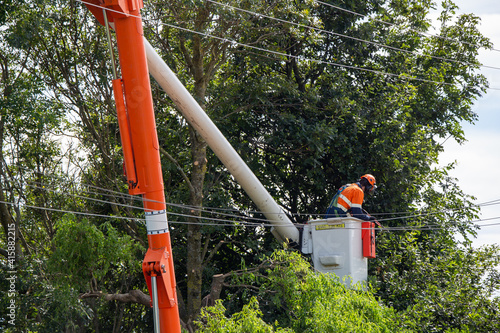 An arborist prunes trees close to power lines in Canterbury, New Zealand