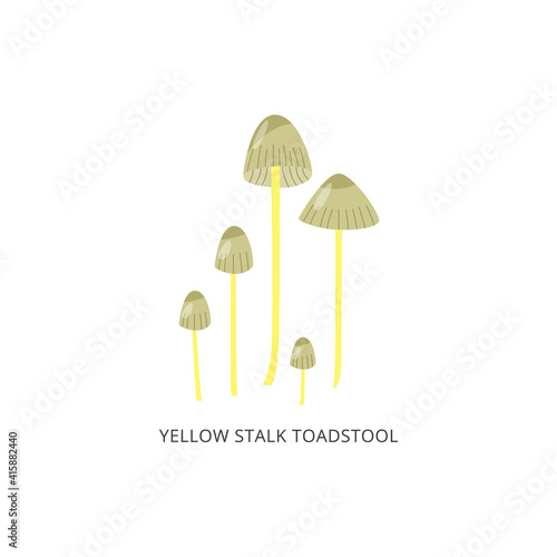 Card of yellow stalk toadstool mushrooms, flat vector illustration isolated.