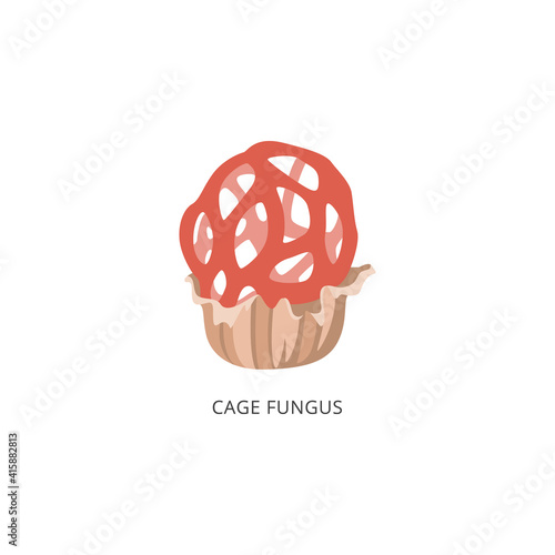 Red cage fungus - rare cartoon mushroom, isolated