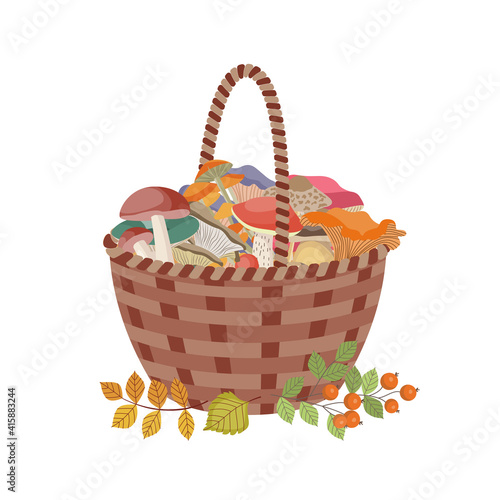 Wicker basket full of autumn forest mushrooms flat vector illustration isolated.