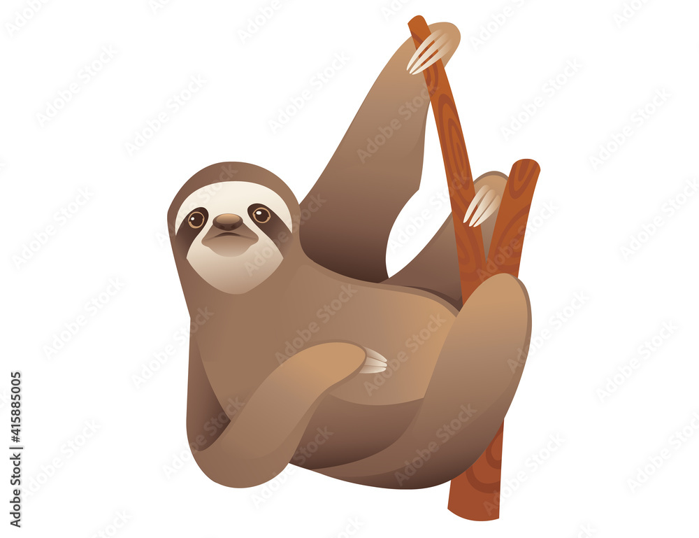 Fototapeta premium Sloth hanging on a branch cartoon animal design vector illustration on white background
