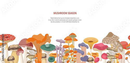 Web banner for mushroom harvest season, flat vector illustration on white.