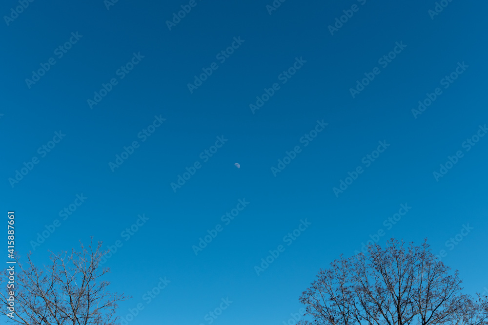 Young moon in daylight against the blue sky. Branches of bare trees. Tree and moon Young moon in daylight against the blue sky. Branches of bare trees. Tree and moon