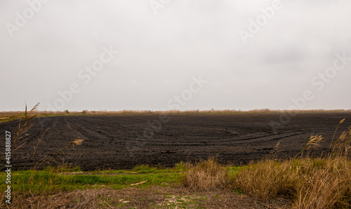 Fototapeta Naklejka Na Ścianę i Meble -  Burnt rice fields, prepared for a new harvest, on a cold and cloudy winter's day.