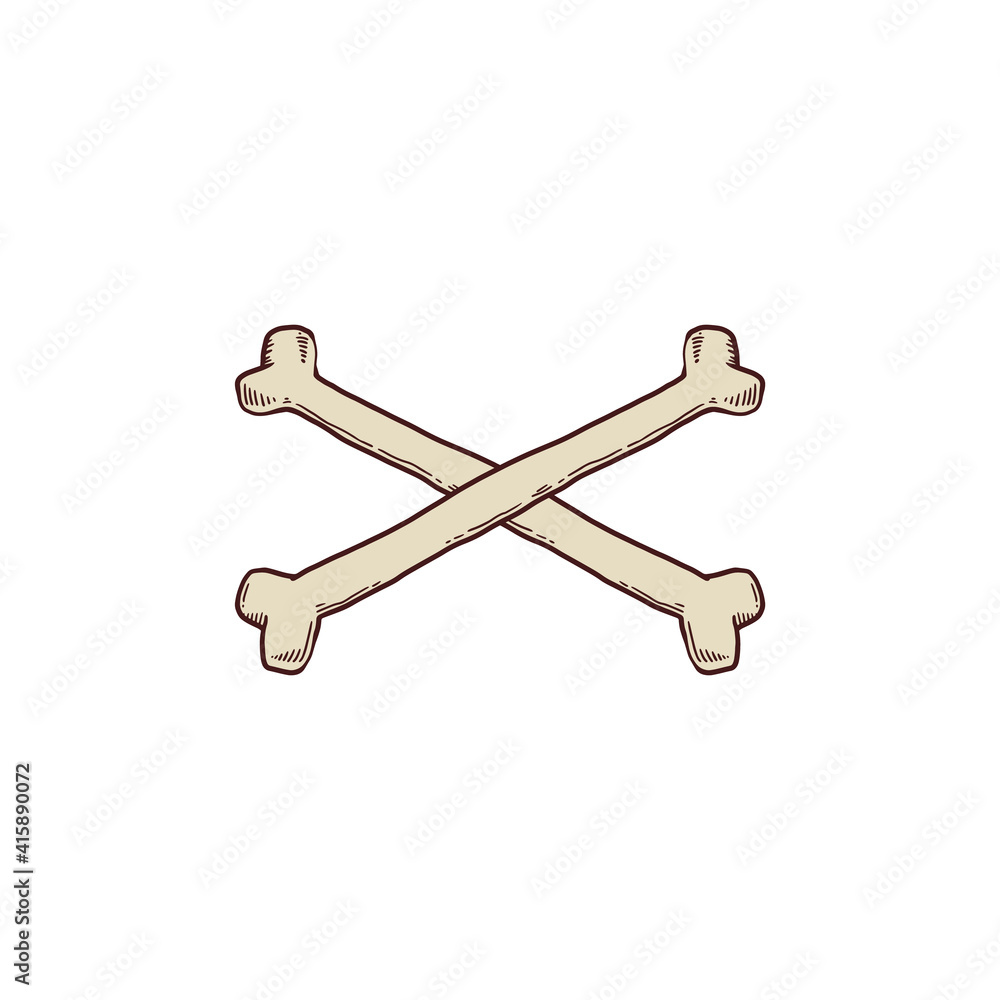 Crossed human bones a vector sketch isolated illustration. Crossed human bones a vector sketch isolated illustration.