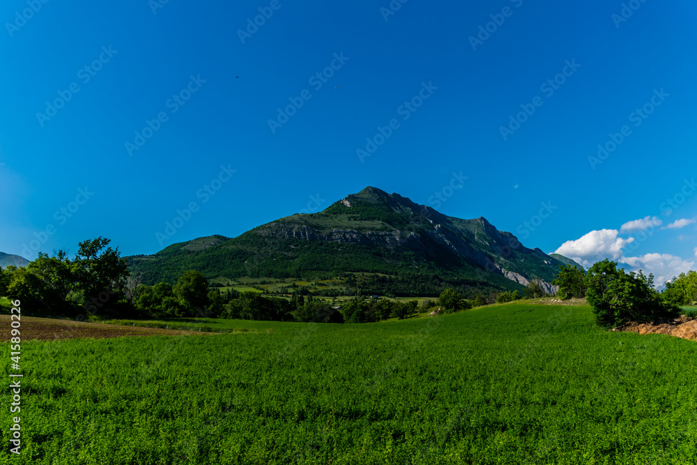 An agricultural field in the French Alps mountains in summer An agricultural field in the French Alps mountains in summer