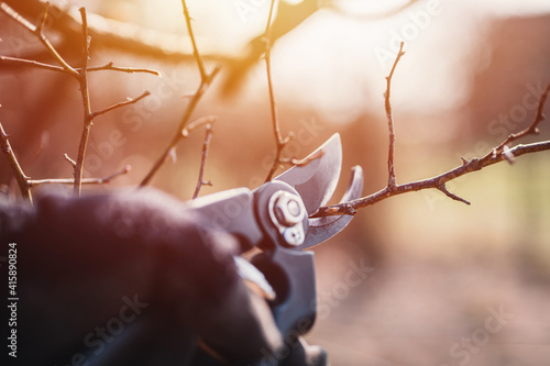 Фотография Garden work of spring